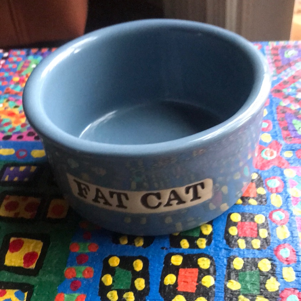 Cat Bowl- Ceramic- “Fat Cat”